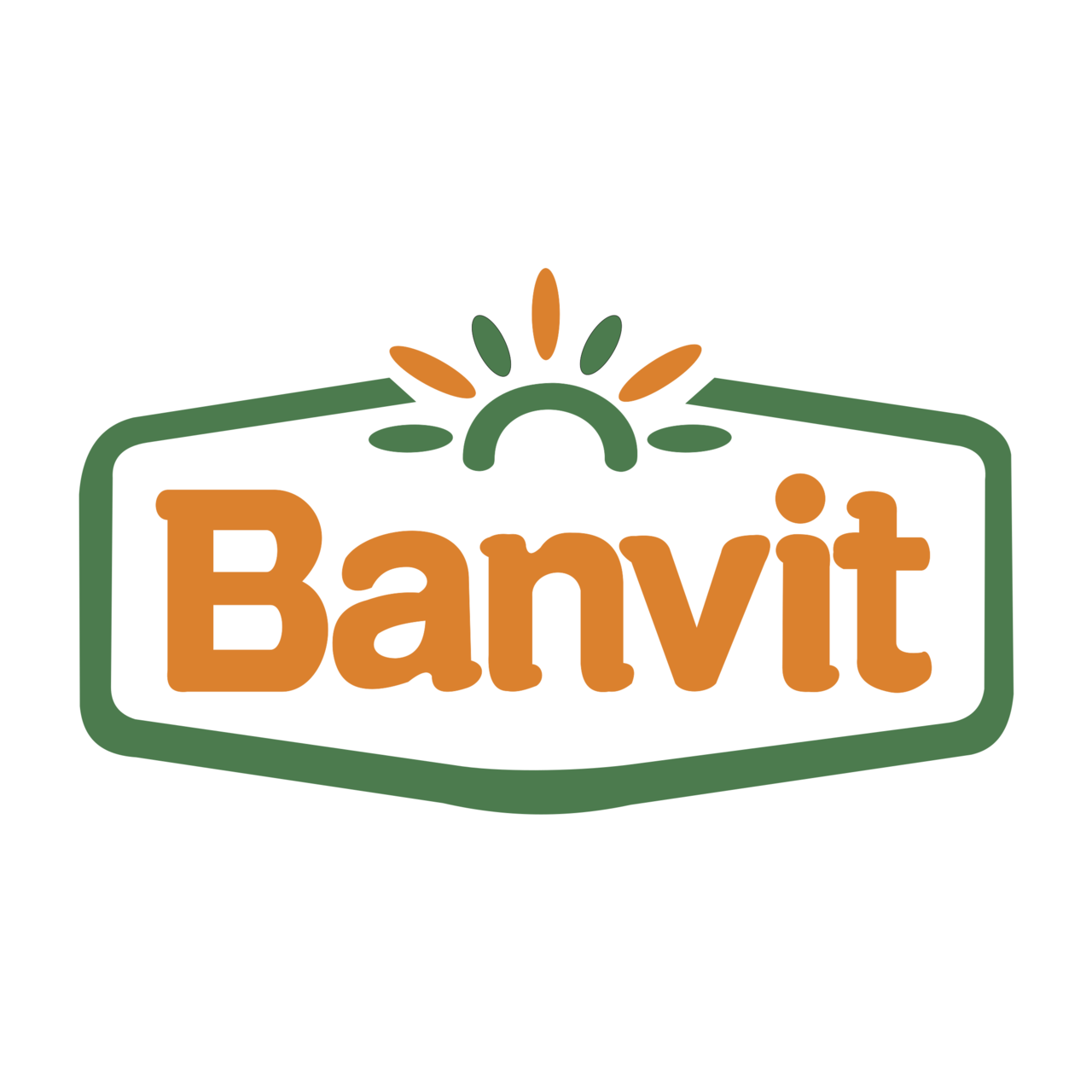 banvit logo