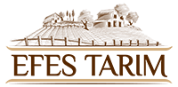 efesler logo